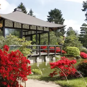 Japanischer Bonsaigarten Ferch